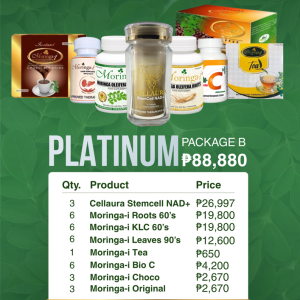 Platinum Package B